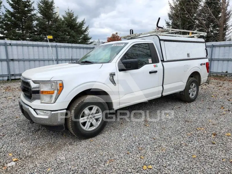 2021 Ford F-150 photo