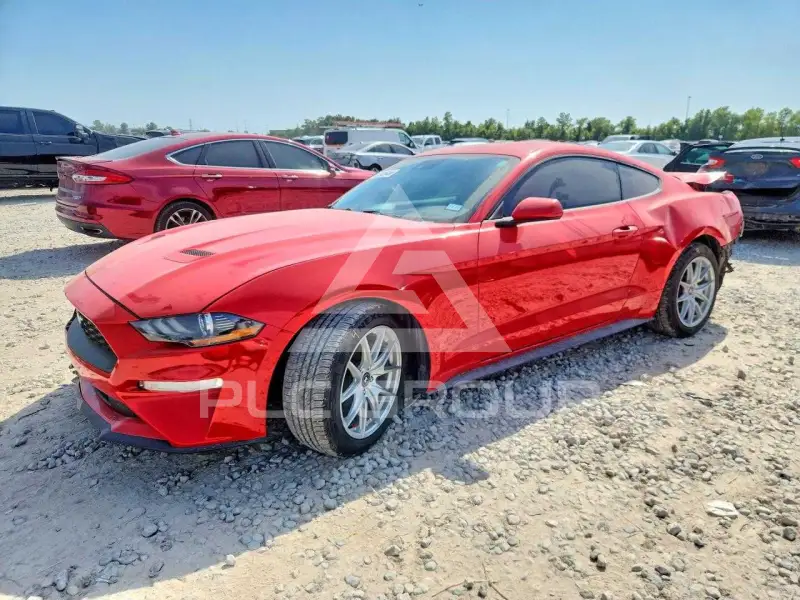 2021 Ford MUSTANG photo