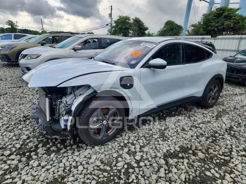 2021 Ford MUSTANG photo
