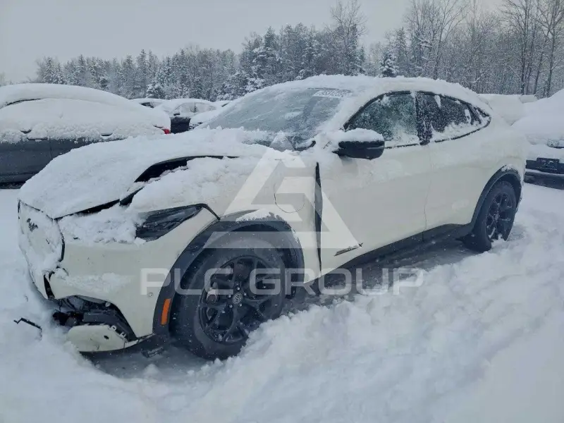 2021 Ford MUSTANG photo