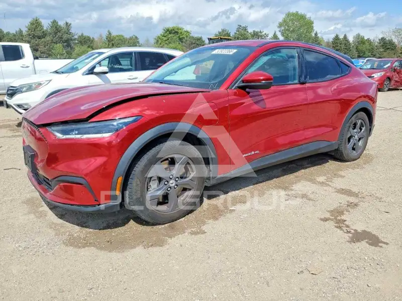 2021 Ford MUSTANG photo