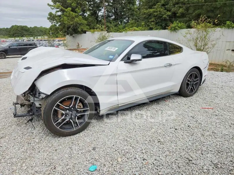 2021 Ford MUSTANG photo