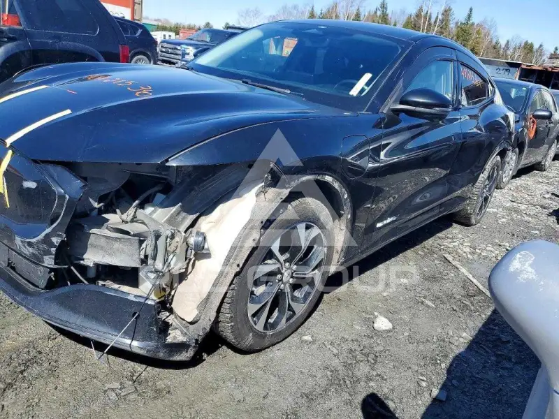 2021 Ford MUSTANG photo