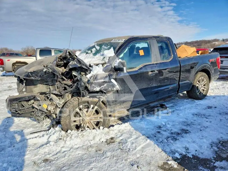 2021 Ford F-150 photo
