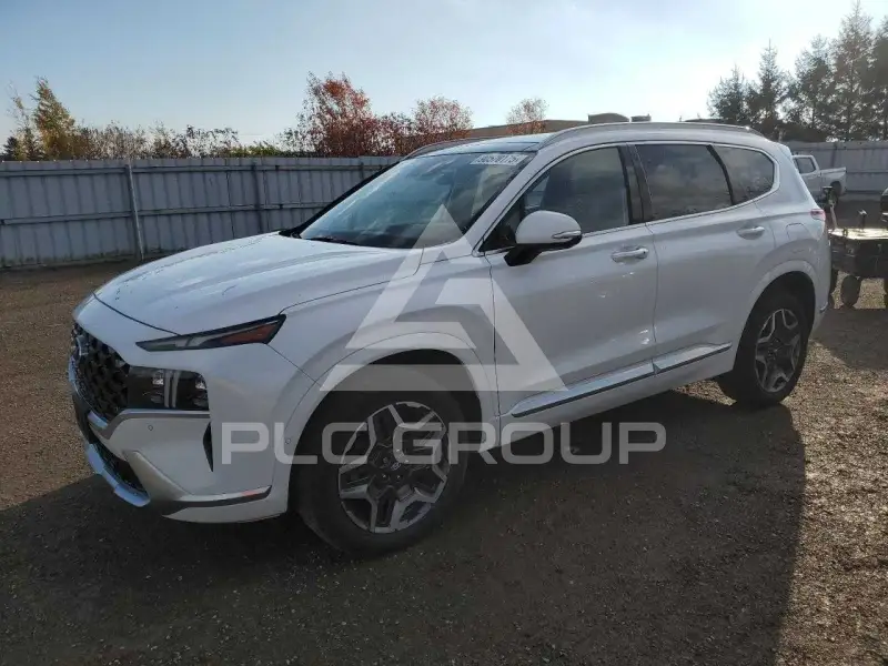 2021 Hyundai Santa Fe фото