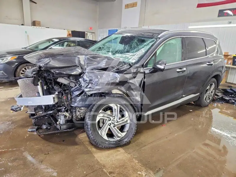 2021 Hyundai Santa Fe фото
