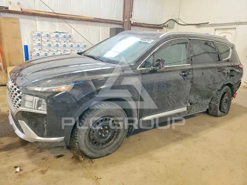 2021 Hyundai Santa Fe фото