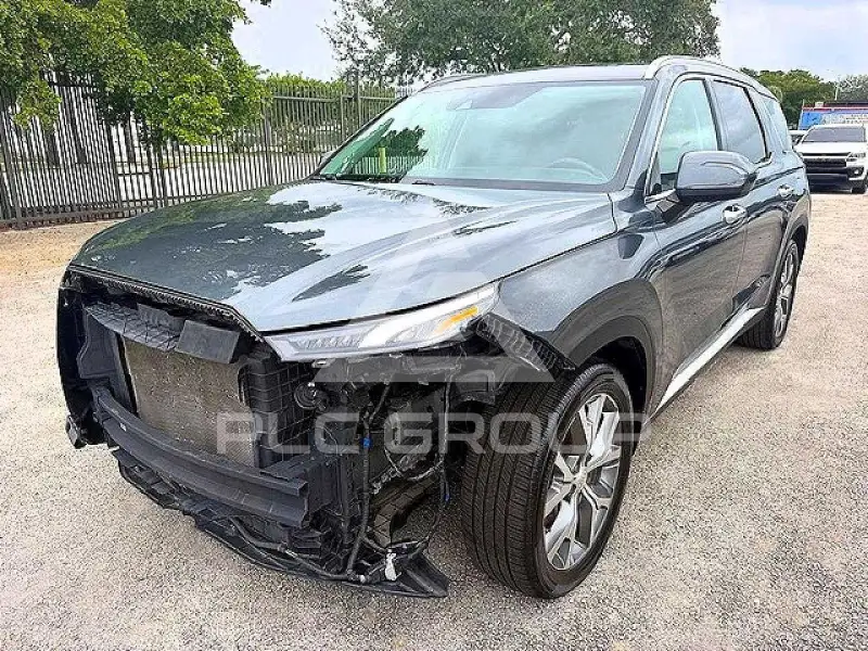 2021 Hyundai Palisade фото