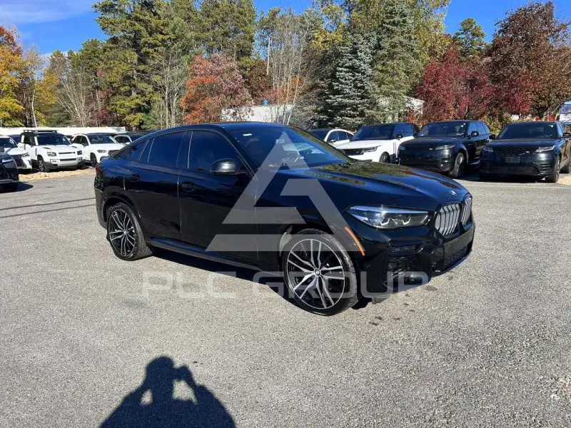 2022 BMW X6 photo