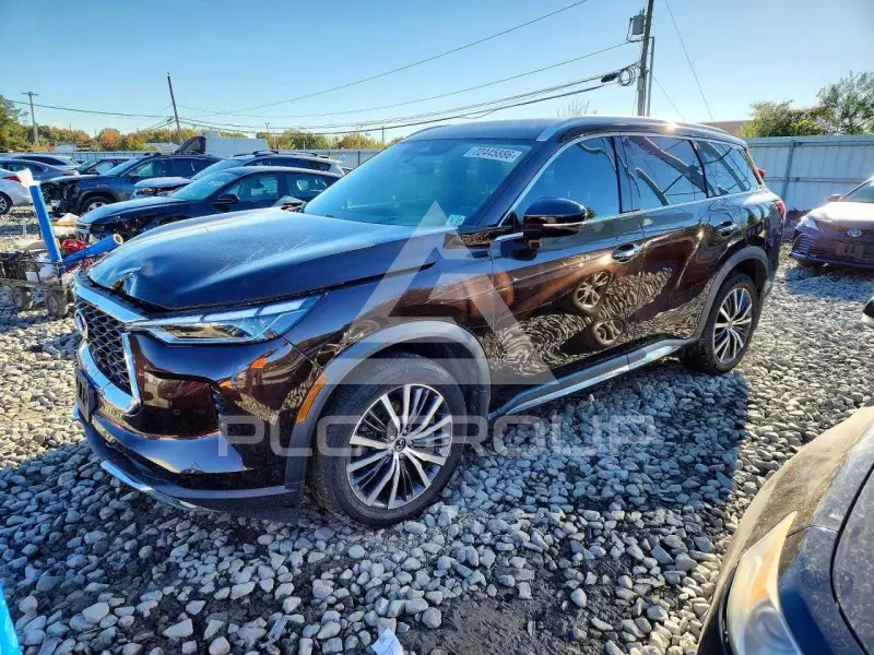 2022 Infinity QX60 photo
