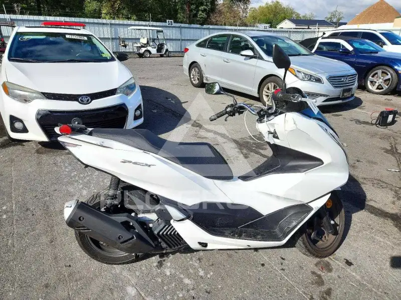 2022 Honda PCX фото