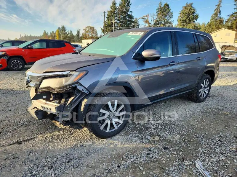 2022 Honda PILOT photo
