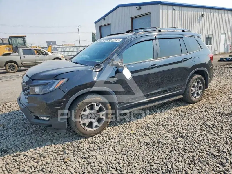 2022 Honda PASSPORT photo