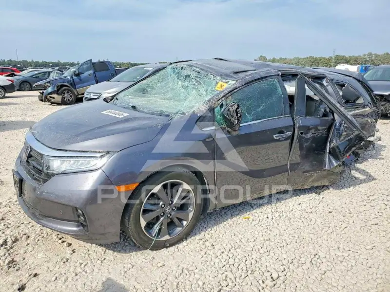 2022 Honda ODYSSEY фото