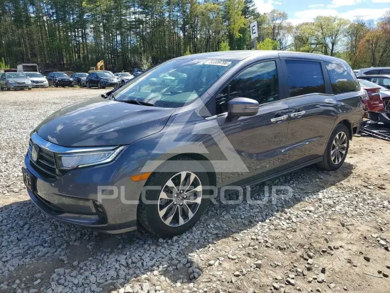 2022 Honda ODYSSEY фото
