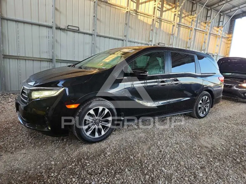 2022 Honda ODYSSEY photo