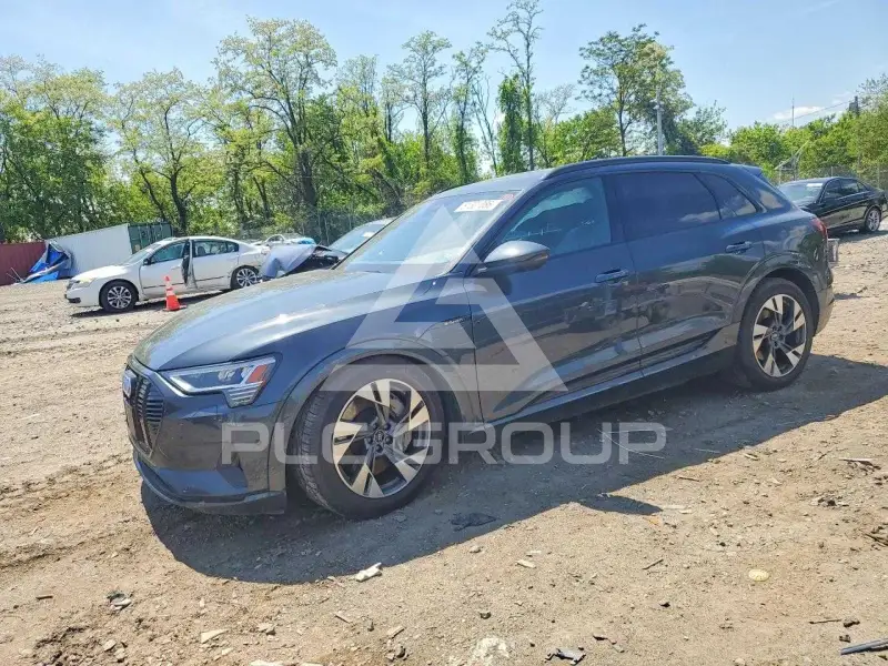 2022 Audi E-TRON фото