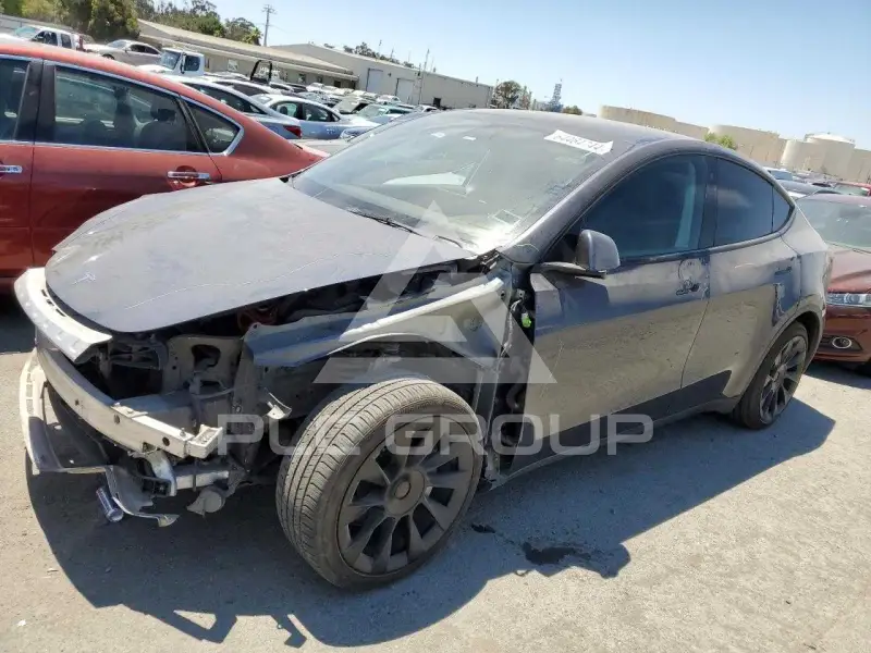 2022 Tesla Model Y photo