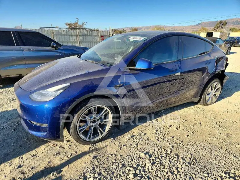2022 Tesla Model Y photo