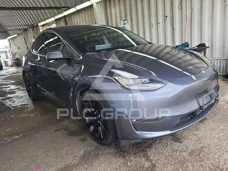2022 Tesla Model Y фото