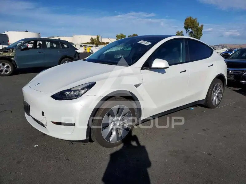 2022 Tesla Model Y photo