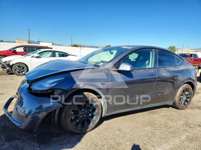 2022 Tesla Model Y photo