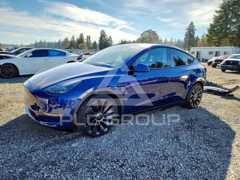 2022 Tesla Model Y фото