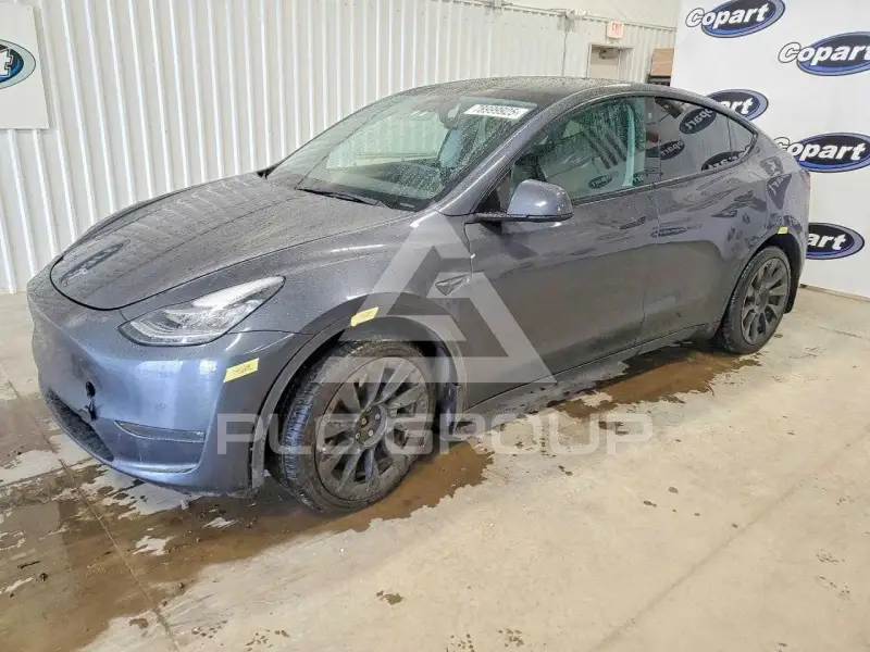 2022 Tesla Model Y фото