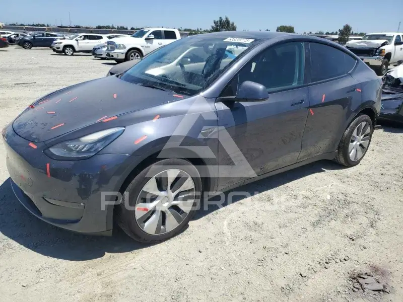 2022 Tesla Model Y photo