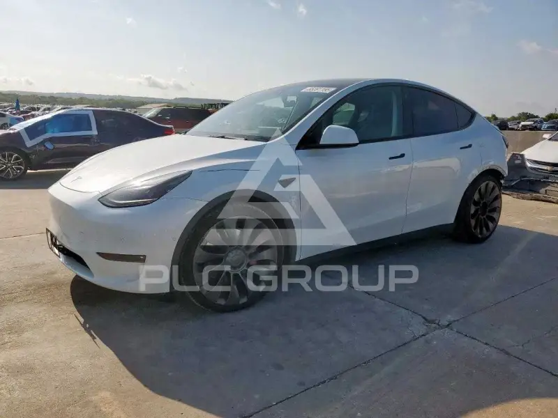 2022 Tesla Model Y photo