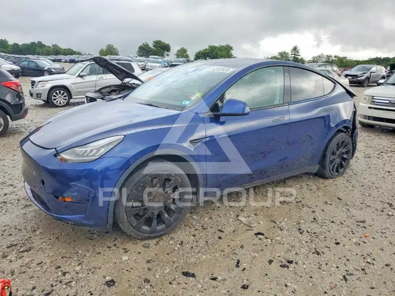 2022 Tesla Model Y фото