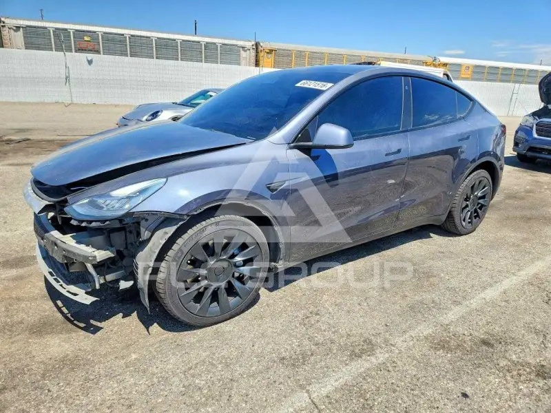 2022 Tesla Model Y photo