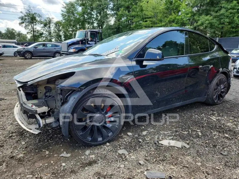 2022 Tesla Model Y photo