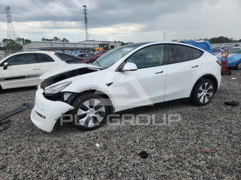 2022 Tesla Model Y photo