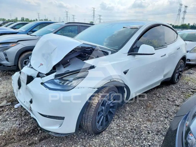 2022 Tesla Model Y фото