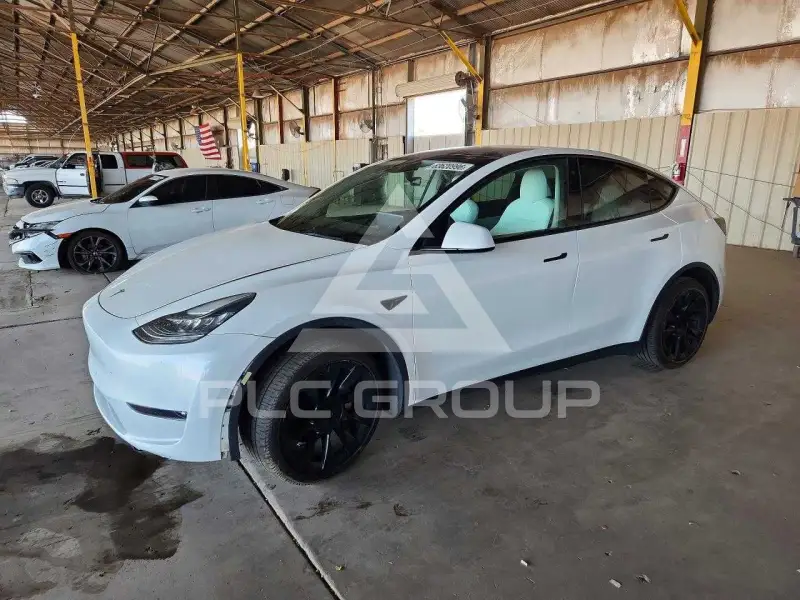 2022 Tesla Model Y фото