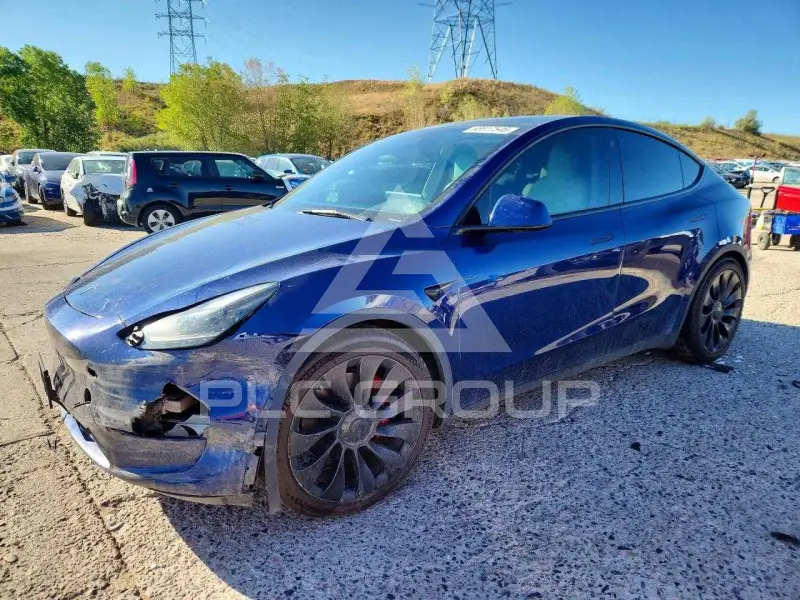2022 Tesla Model Y photo