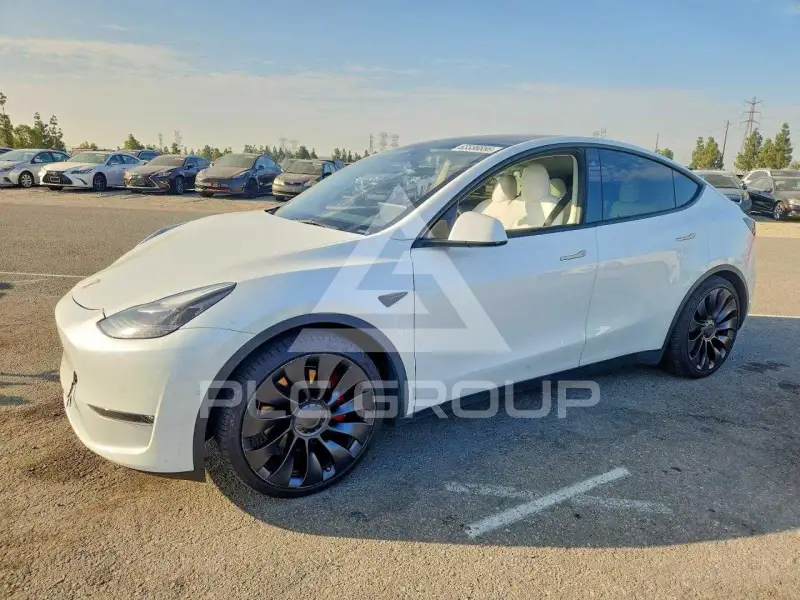 2022 Tesla Model Y фото