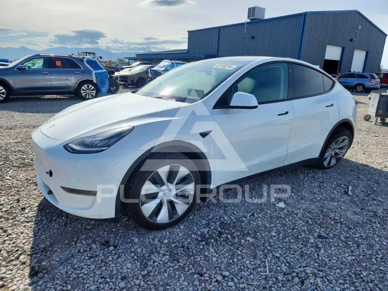 2022 Tesla Model Y фото