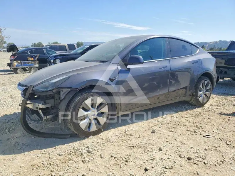 2022 Tesla Model Y фото