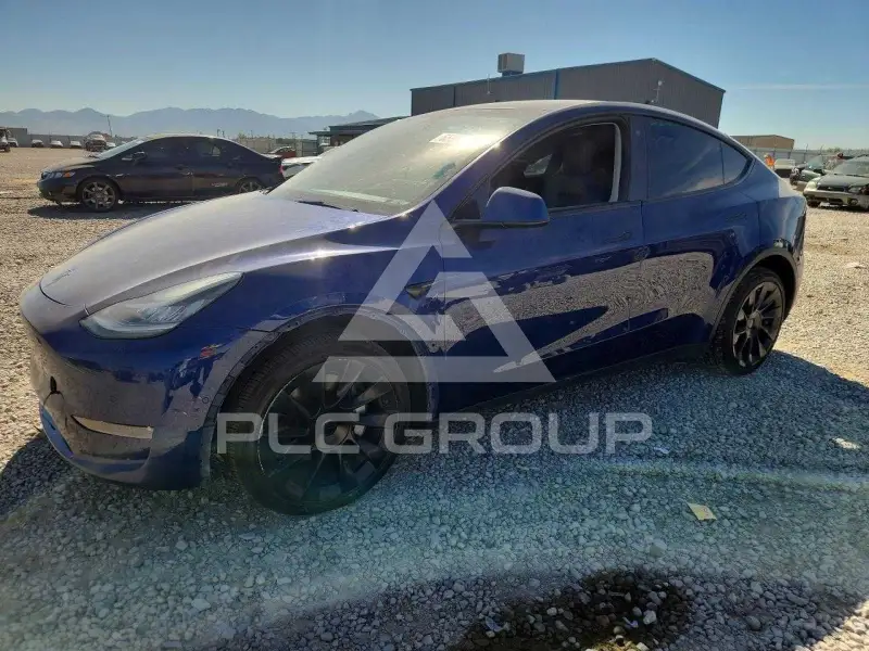 2022 Tesla Model Y фото