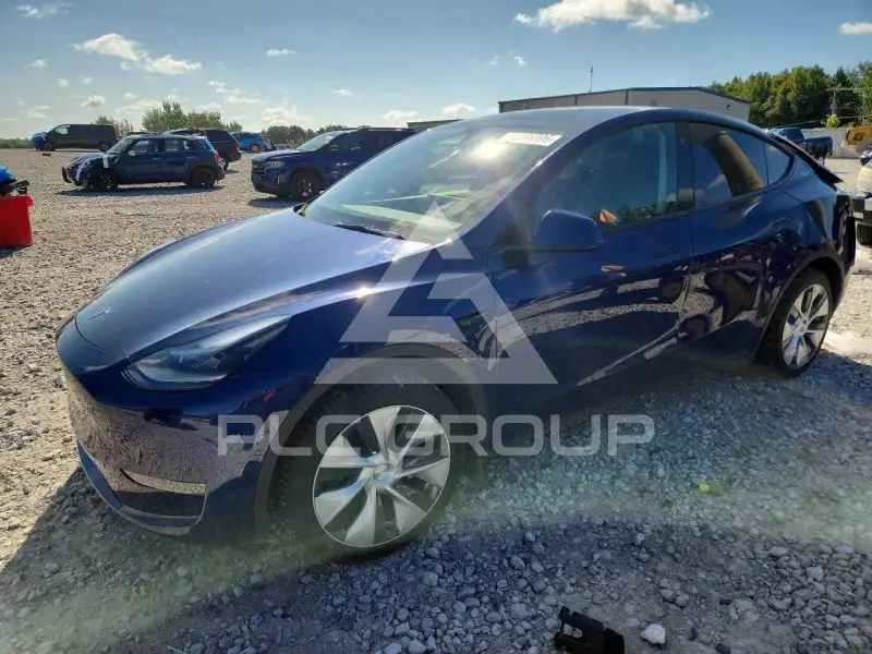 2022 Tesla Model Y photo
