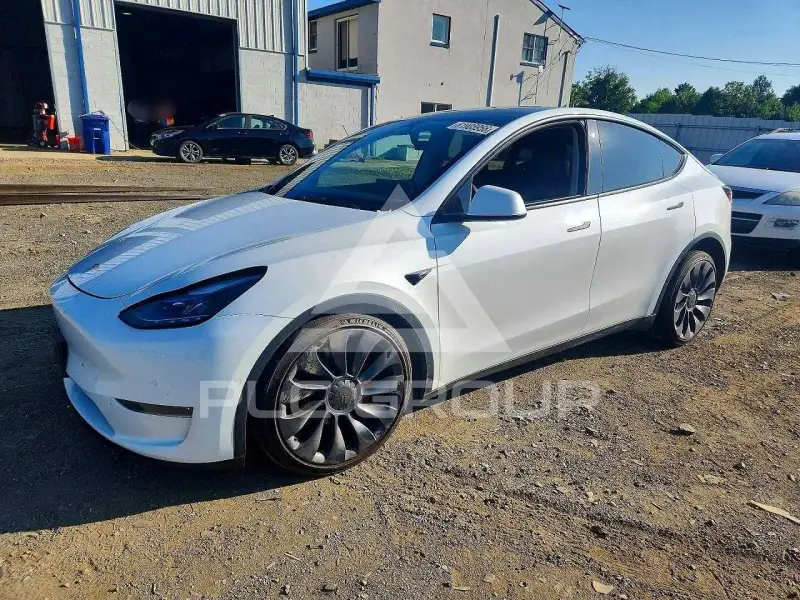 2022 Tesla Model Y фото