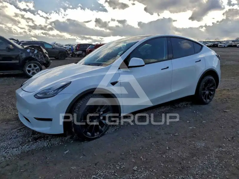 2022 Tesla Model Y фото