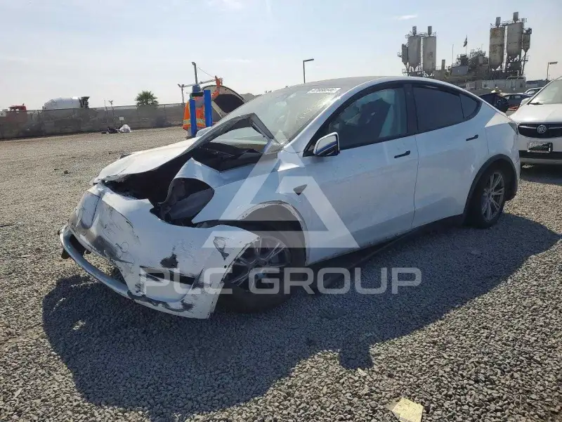 2022 Tesla Model Y photo