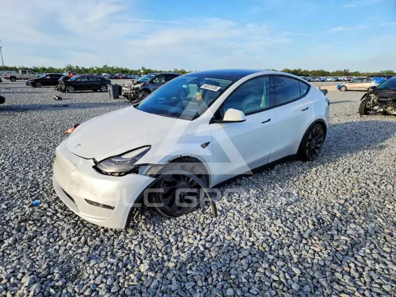 2022 Tesla Model Y photo