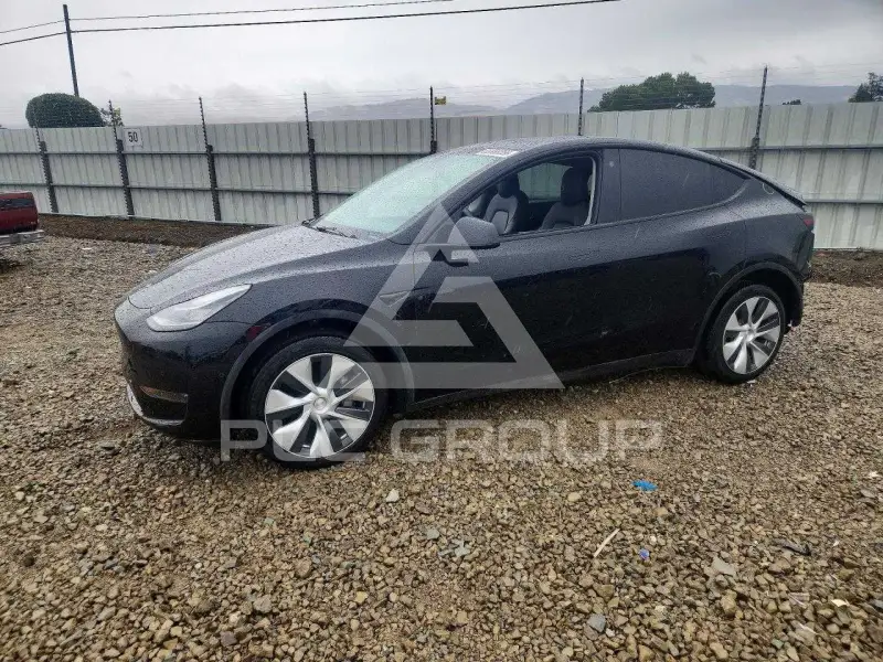2022 Tesla Model Y photo