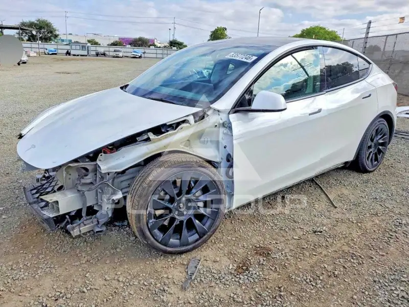 2022 Tesla Model Y фото