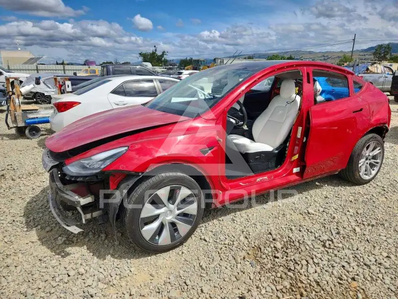 2022 Tesla Model Y фото
