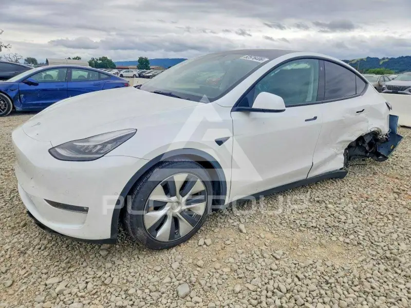2022 Tesla Model Y photo